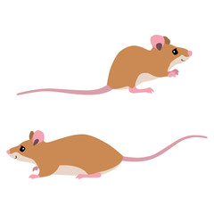 Vector illustration of sitting and walking mice isolated on white background
