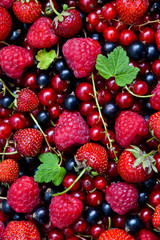 Berries organic background. Raspberry, strawberry, red and black currant organic fresh from village garden. Ecological organic berries for desserts, smoothie or jam.