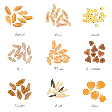 Icon set of cereal grains part 3 / Solid fill set of cereal grains
