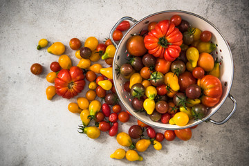 Market fresh colorful tomatoes