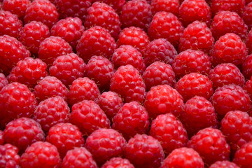 Raspberry organic background. Fresh raspberries from village garden. Ecological berries for desserts, cakes, smoothie or jam.