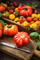 Colorful variety of fresh tomatoes on wooden serving board