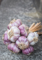 Garlic bulb.Farm.Organic.Country style photo. Copy space.