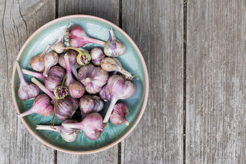 Garlic on ceramic plate. Grey wooden background. Top view.