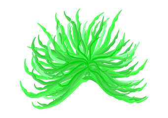 algae vector symbol icon design. Beautiful illustration isolated on white background