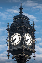 Fototapeta na wymiar Swan Hunter Clock