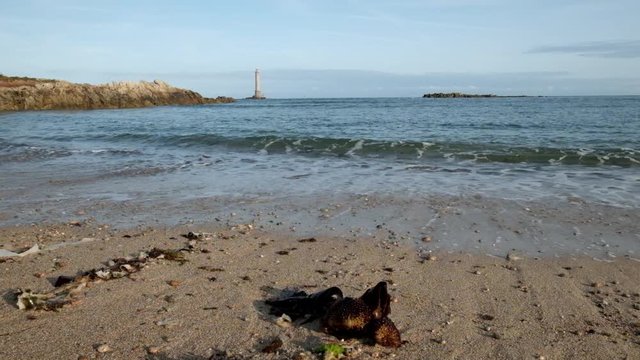 Goury lighthouse