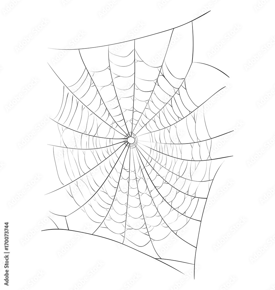 Wall mural spider web vector symbol icon design. Beautiful illustration isolated on white background