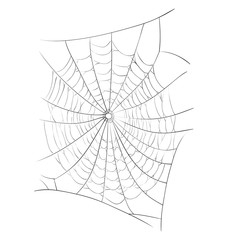 Obraz premium spider web vector symbol icon design. Beautiful illustration isolated on white background