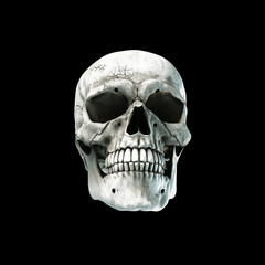 Obraz premium Human skull on Rich Colors a dark background. The concept of death, horror. A symbol of spooky Halloween. 3d rendering illustration.