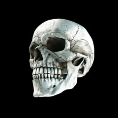 Human skull on Rich Colors a dark background. The concept of death, horror. A symbol of spooky...