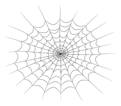 spider web vector symbol icon design. Beautiful illustration isolated on white background