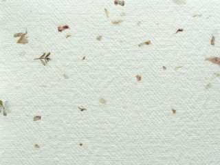 Paper background