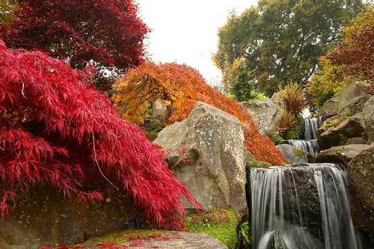 Autumn waterfall surrounded by autumnalcoloured shrubs