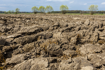 Agricultural landscape, plowed field in seeding,  clouds on the horizon.
