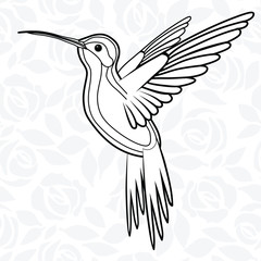 Colibri or Hummingbirds for logo, icon, t-shirt, mascot, poster vector illustration for t-shirt. Sketch tattoo design.