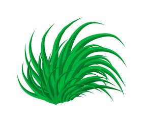 Fototapeta na wymiar grass vector symbol icon design. Beautiful illustration isolated on white background