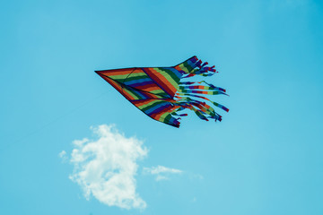 kite flying in the blue sky against of clouds