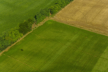 aereal view of farmland