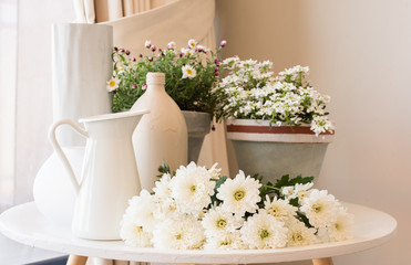 White chrysanthemum flowers on small table next to jug  ready for arranging with flower pots and vases behind (selective focus)
