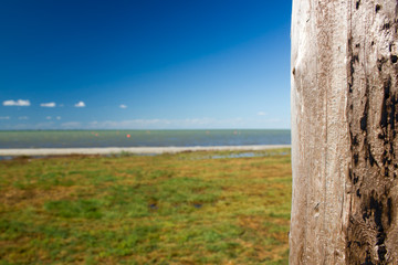 Wood pile on the waterfront