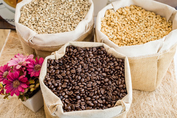 Coffee bean roasted and unroasted.