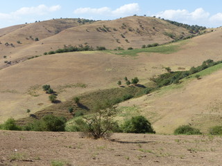Montagne aride nei Tien Shan in Uzbekistan