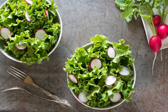 Leaf Lettuce and Radish Salad