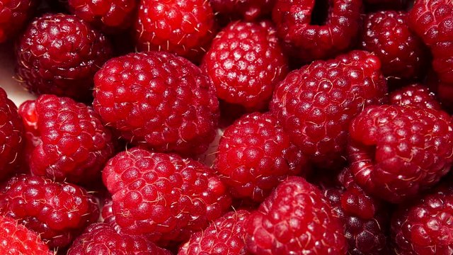 Fresh raspberry fruits as food background. Healthy food organic nutrition. Delicate light effect 4K ProRes HQ codec