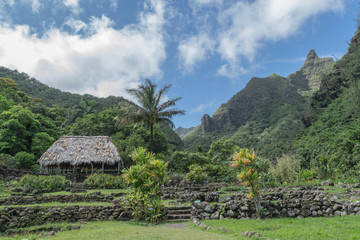 A grass roof hut, palm tree, mountains and lush garden, at the Limahuli Garden and Preserve-National Botanical Garden, Ha'ena, Halele'a, Kauai, Hawaii - 170083502