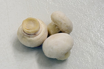 Mushrooms champignon type