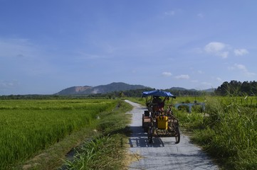 Obraz premium The farmer going to work