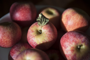 A bowl of red apples is highlighted by the late afternoon sunshine.