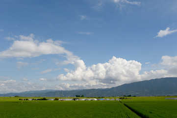 田舎の風景
