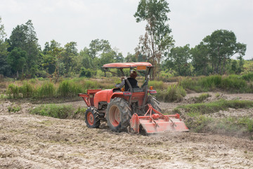 Thai farmers are using a tractor to prepare the soil for growing rice.