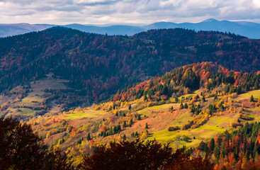 rural fields on hills among the forest in autumn