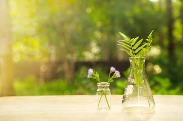 science flask with flower and green fern on wood in blur tree garden background