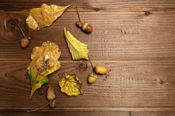 Autumn leaves and acorns over old brown wooden background with empty space