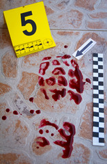 The bloody trail of footwear was found at the crime scene
