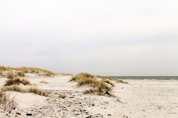Fototapeta na wymiar Dueodde Strand auf der Insel Bornholm - Dänemark