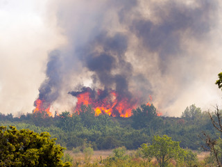 a devastating fire in Croatia near Pristeg village