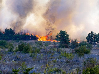 a devastating fire in Croatia near Pristeg village