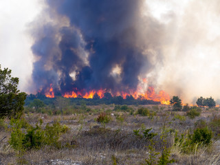 Fototapeta premium a devastating fire in Croatia near Pristeg village