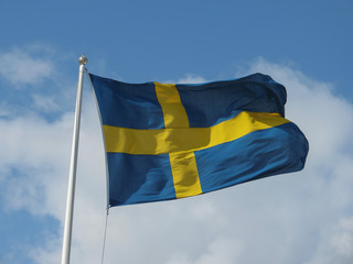 Swedish Flag of Sweden