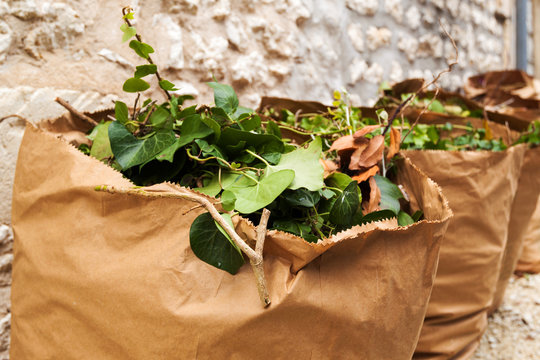 sac en papier recyclé pour déchets verts