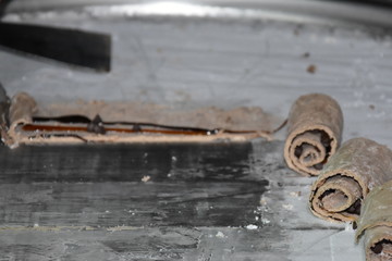 Chocolate Ice Cream Roll