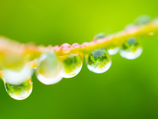 Raindrops