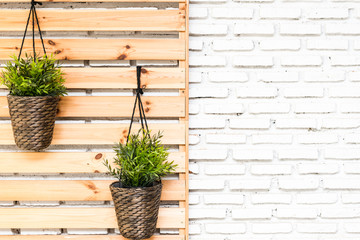 Spring flower hanging on wood wall on background white brick wall.