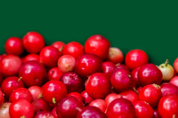 Forest cranberries healthy on green background. Autumn edible useful berries. Natural food of wild nature, rich in vitamins. Fall season of picking berries in Northern Europe and the tundra.
