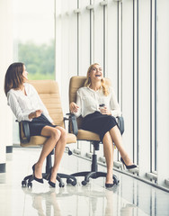 The happy businesswomen on chairs talk near the office window